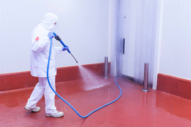 Best Sidewalk and Walkway Cleaning  in Lehighton, PA