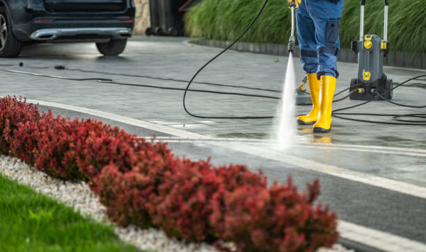 Best Driveway Pressure Washing  in Lehighton, PA